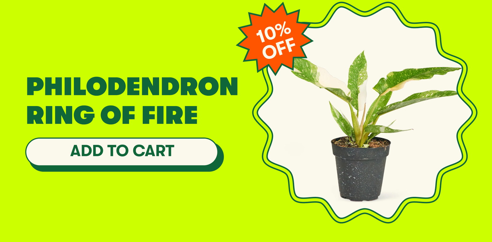 Memorial Day Sale up to 20% off