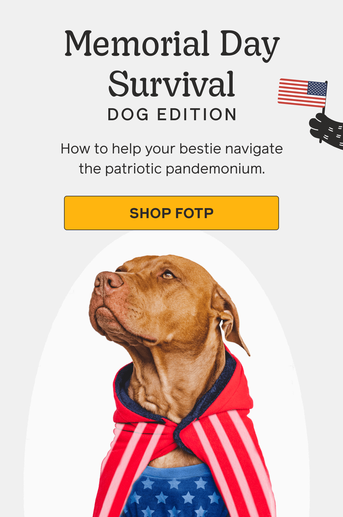 Memorial Day Survival Dog Edition