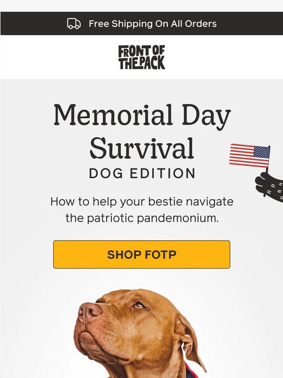 Your Pup's Memorial Day Survival Guide