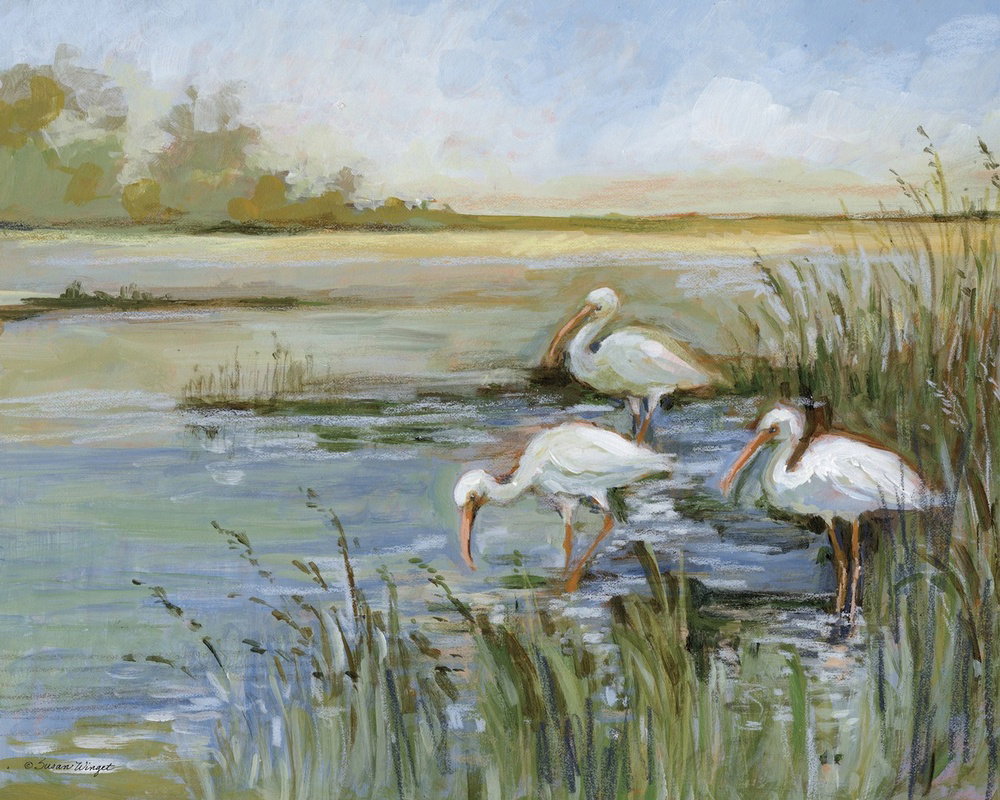 Ibis In The Water by Susan Winget