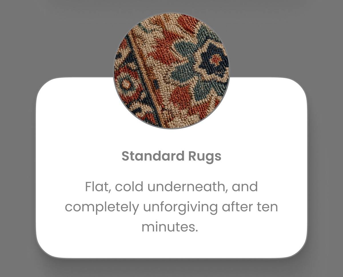 A close-up circular inset shows a detailed view of a rug with red, blue, and tan geometric patterns, positioned above a white rounded rectangle contai...
