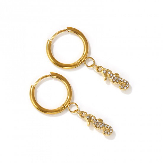 Stainless Steel Dangle Earrings