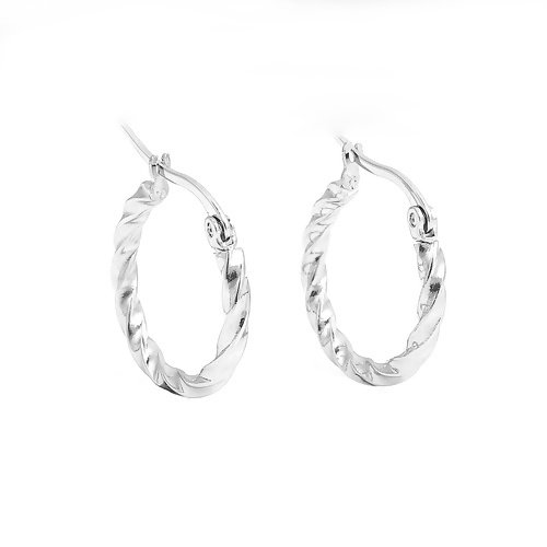 Stainless Steel Hoop Earrings
