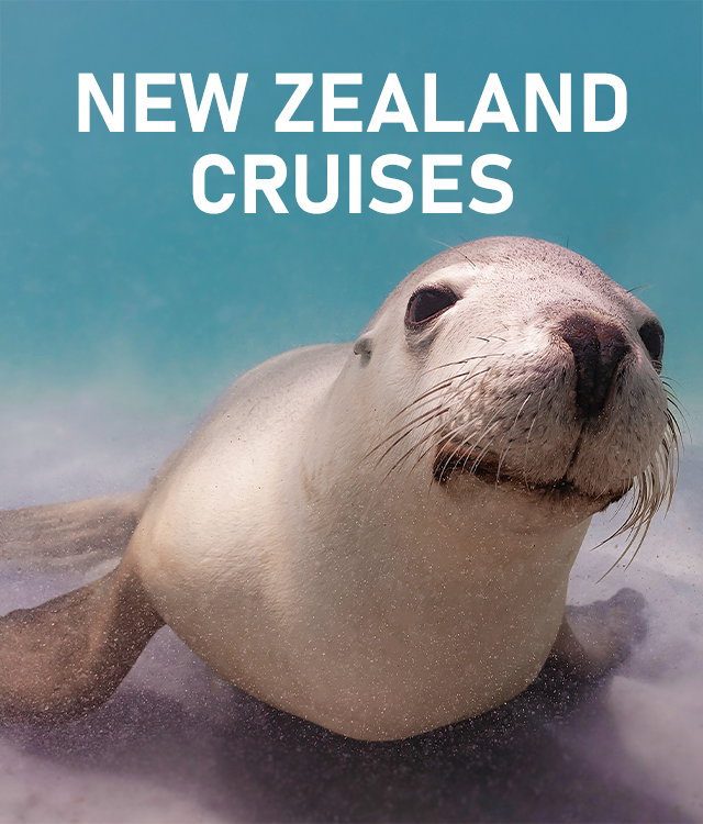 New Zealand Cruises