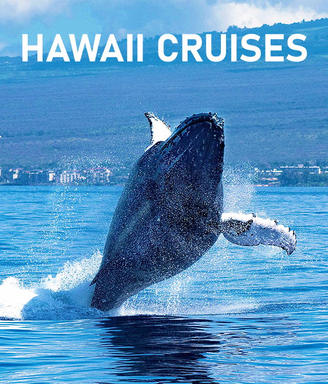 Hawaii Cruises