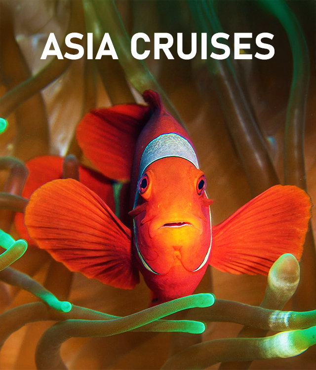 Asia Cruises