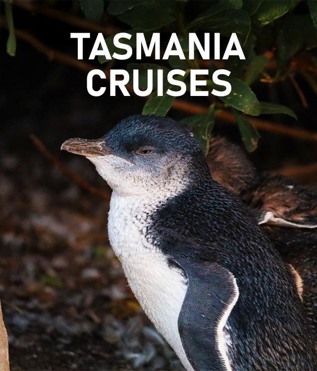 Tasmania Cruises