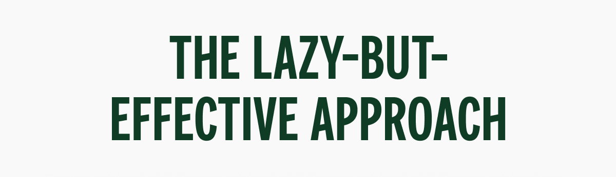 THE LAZY-BUT-EFFECTIVE APPROACH