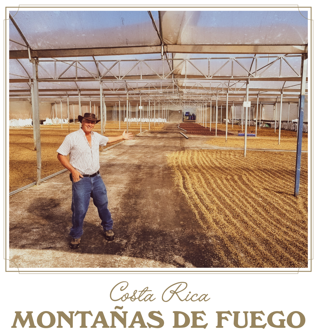 Luis Campos Varela from Costa Rica Cordillera de Fuego stands inside a large covered drying patio, gesturing across rows of coffee beans spread out to dry beneath the open-air structure. Text below reads: “Costa Rica Montañas de Fuego.”