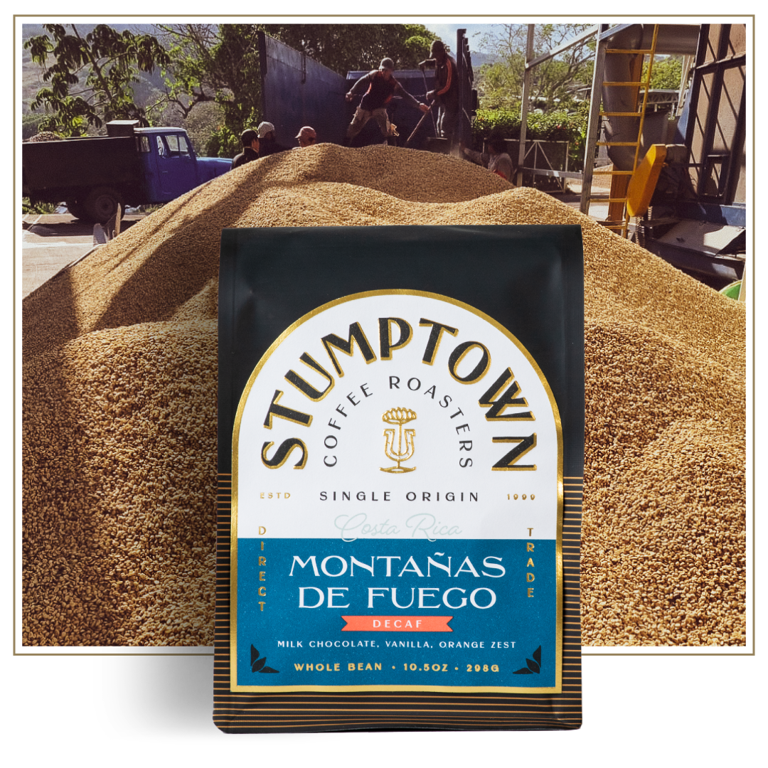 A large mound of drying coffee beans fills the foreground at a Costa Rican coffee mill. A Stumptown Coffee Roasters Montañas de Fuego decaf coffee bag is overlaid in front, highlighting the coffee’s origin and production process.