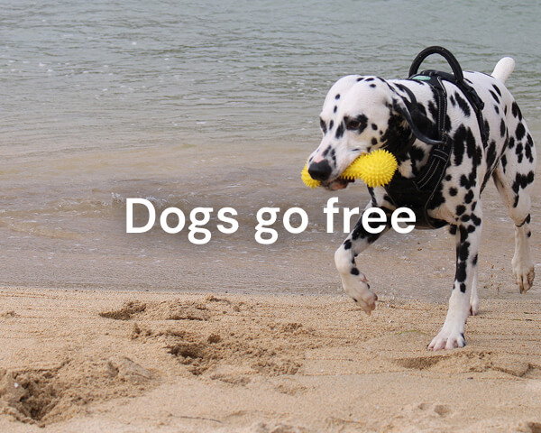 Dogs Go Free