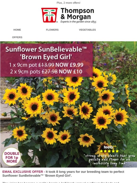 2 SunBelievable pots for £5 each!