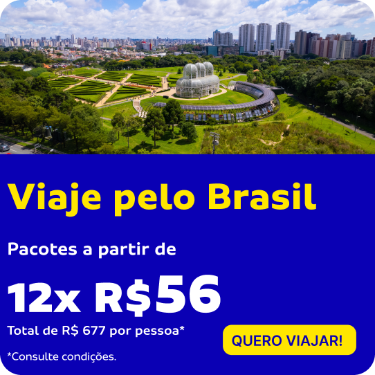 VIAJE PELO BRASIL