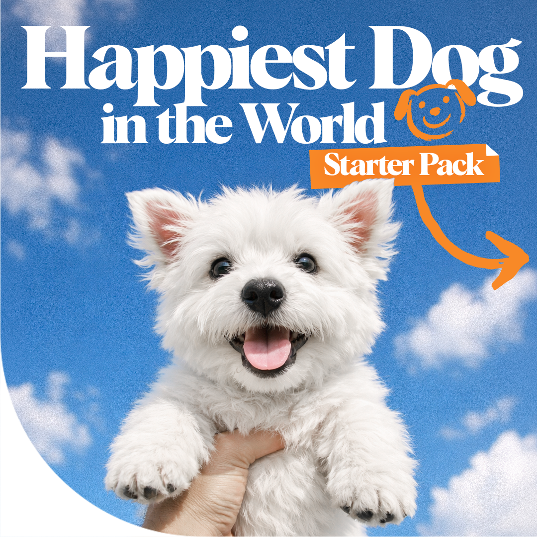 Happiest Dog in the World: Starter Pack at superiorcare.pet