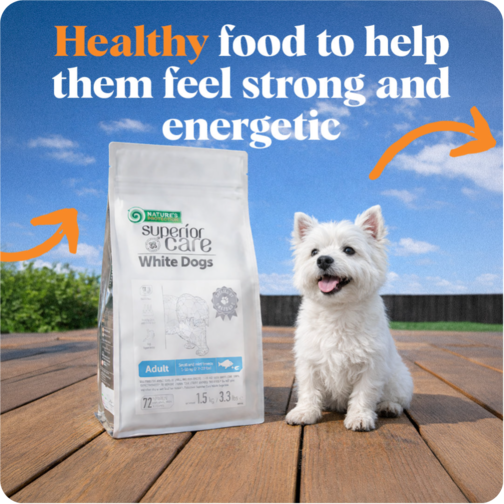 Pet Food
