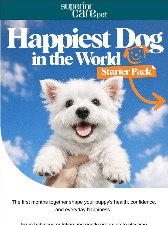 Starter Pack: Happiest Dog in the World 🐶