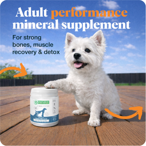 Supplements 