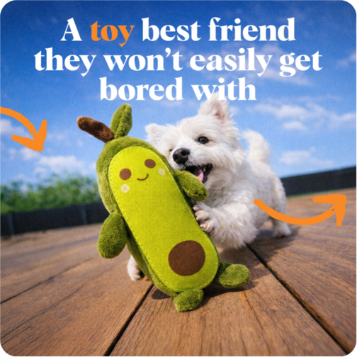 Toys for Pets