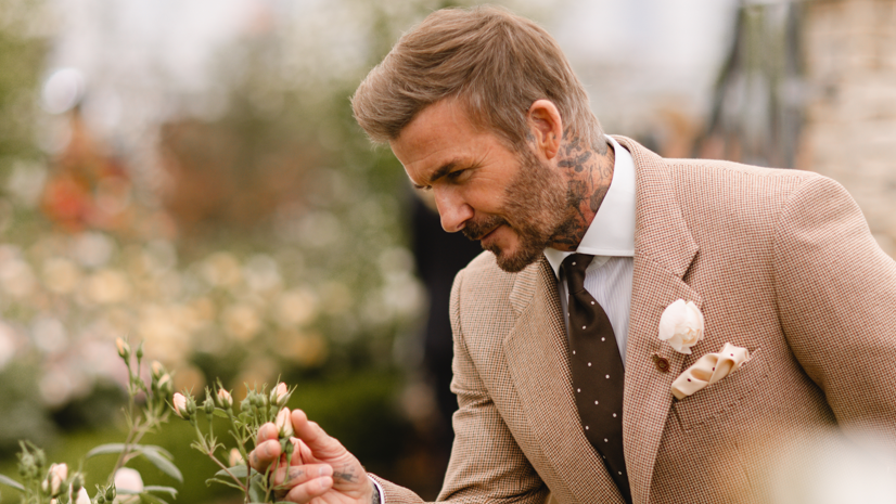 David Beckham wears a tan-coloured suit as he leans down to inspect a rose bud. Blurred in the background are more roses and foliage.