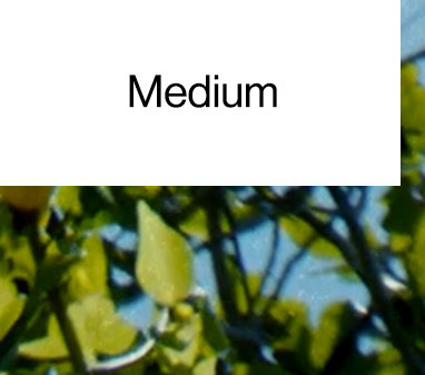 Medium