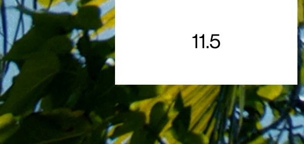 11.5