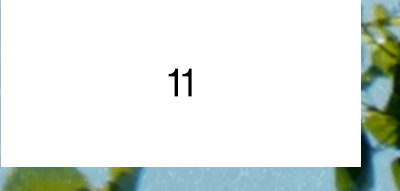 11