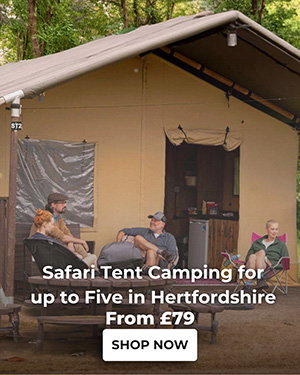 Safari Tent Camping for up to Five in Hertfordshire