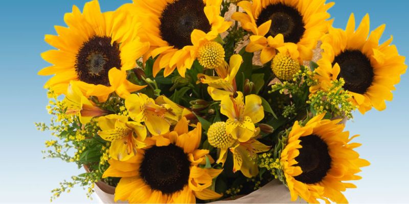 Blossoming Gifts