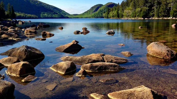 Puzzle: Lacs