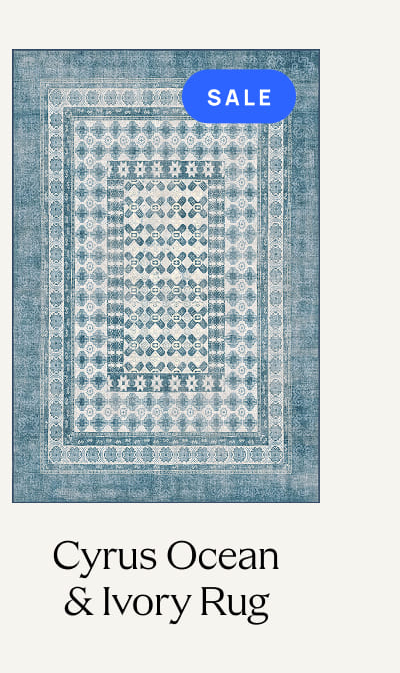 Cyrus Ocean & Ivory Rug
