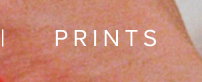 PRINTS