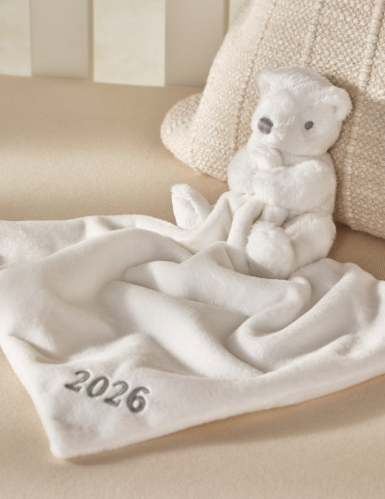 2026 Dated Bear Comforter