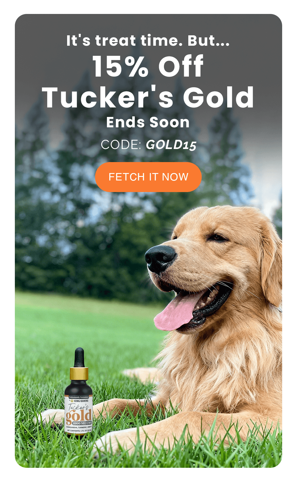 It's treat time. But... 15% Off Tucker's Gold Ends Soon. CODE: GOLD15