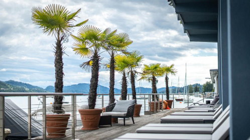Hotel Terrasse mit Palmen direkt am Wörthersee