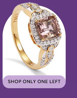 Shop Only One Left.