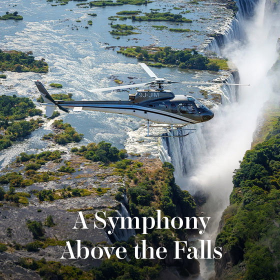 A Symphony Above the Falls