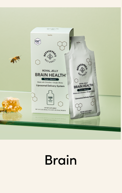 Brain