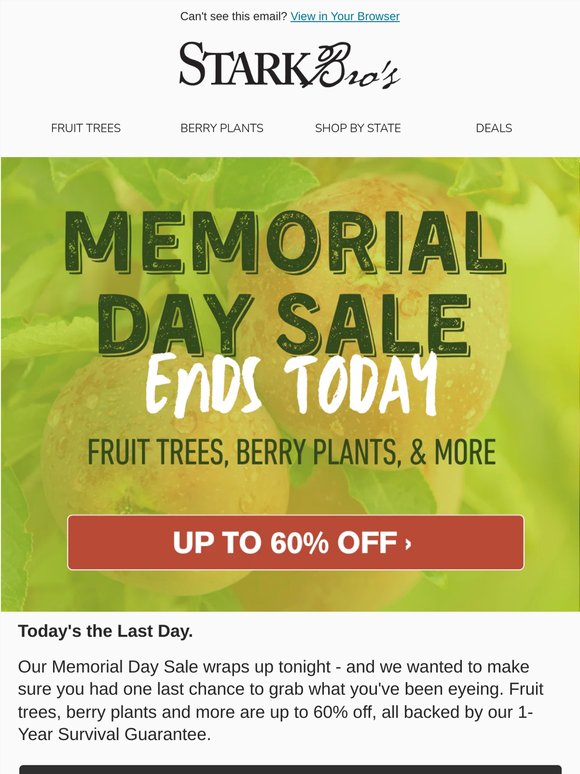 🌳 Last Day - Memorial Day Sale Ends Tonight