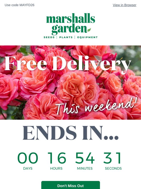 FREE Delivery Ends Tonight!