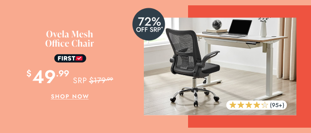 Ovela Mesh Office Chair