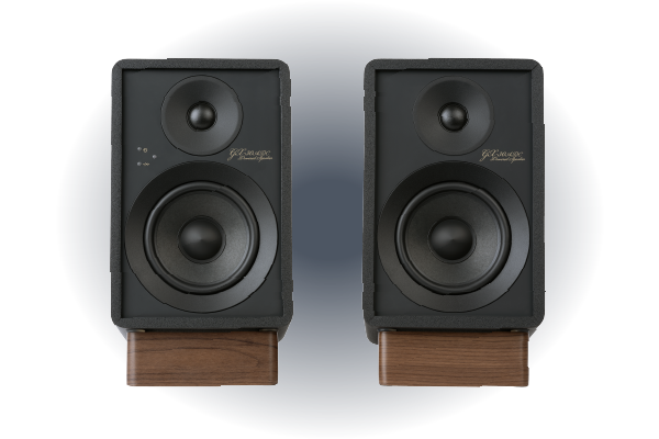 GX30ARC Powered Monitors