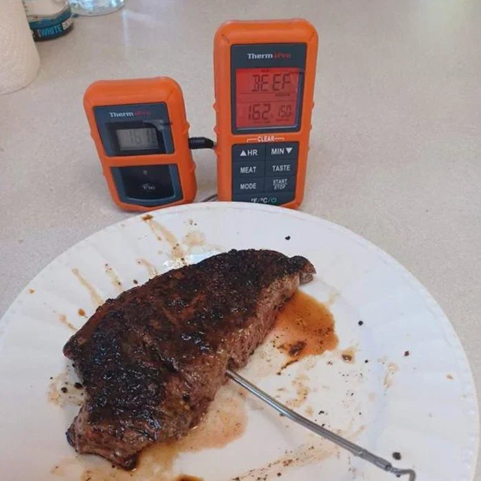 TempPro TP07SW 300-ft ﻿Wireless 1-Probe Meat Thermometer