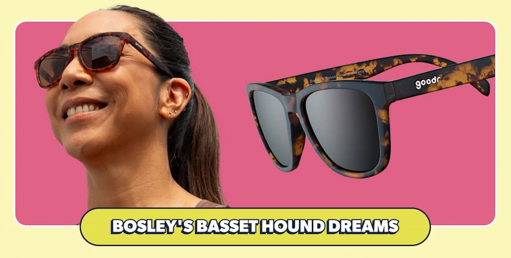 Bosley's Basset Hound Dreams