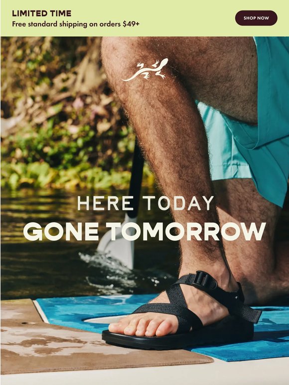 Here today, gone tomorrow! Up to 50% off ends tonight