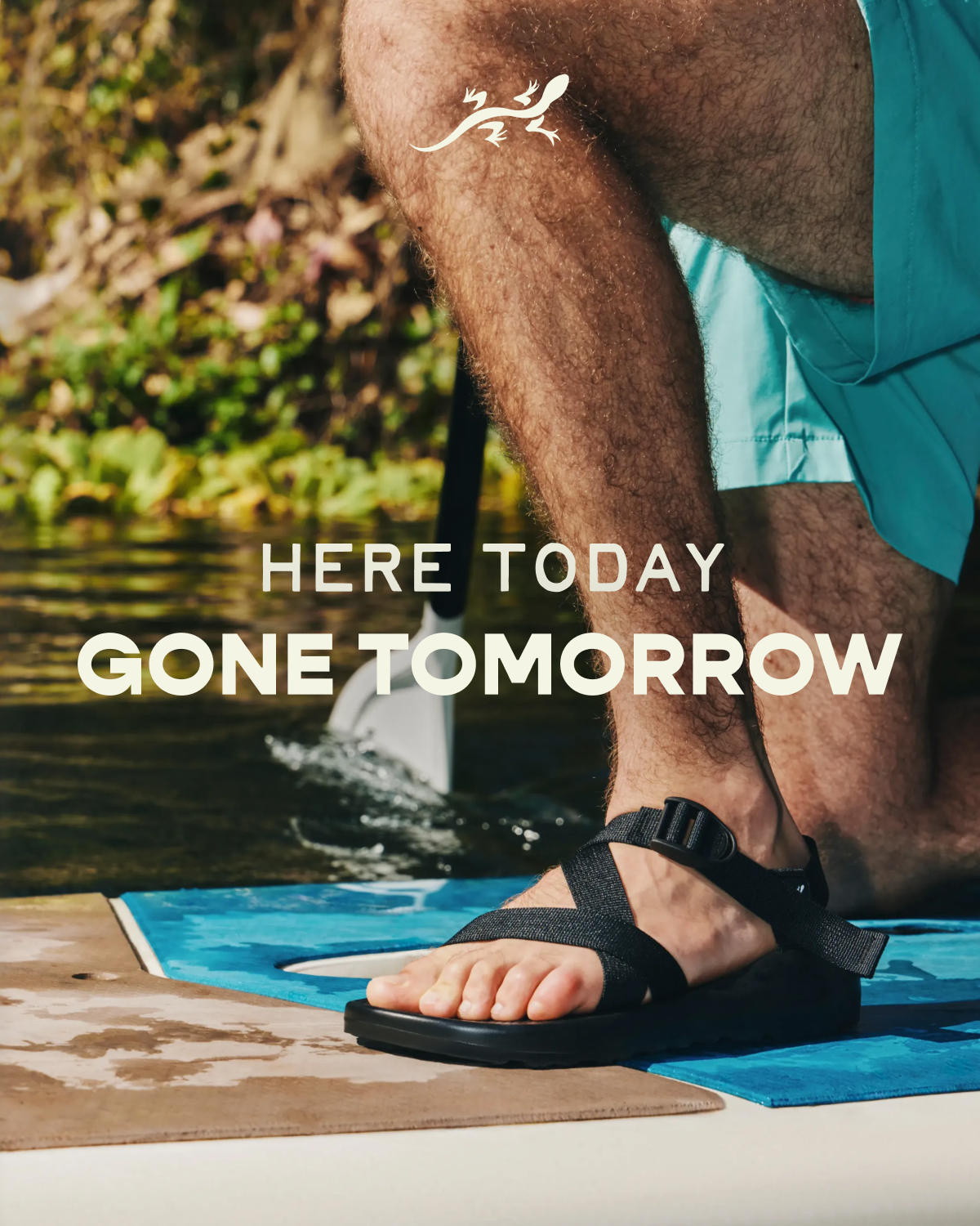 Here today. Gone tomorrow