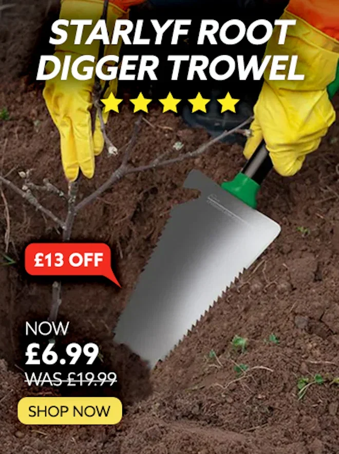 Starlyf Root Digger Trowel
