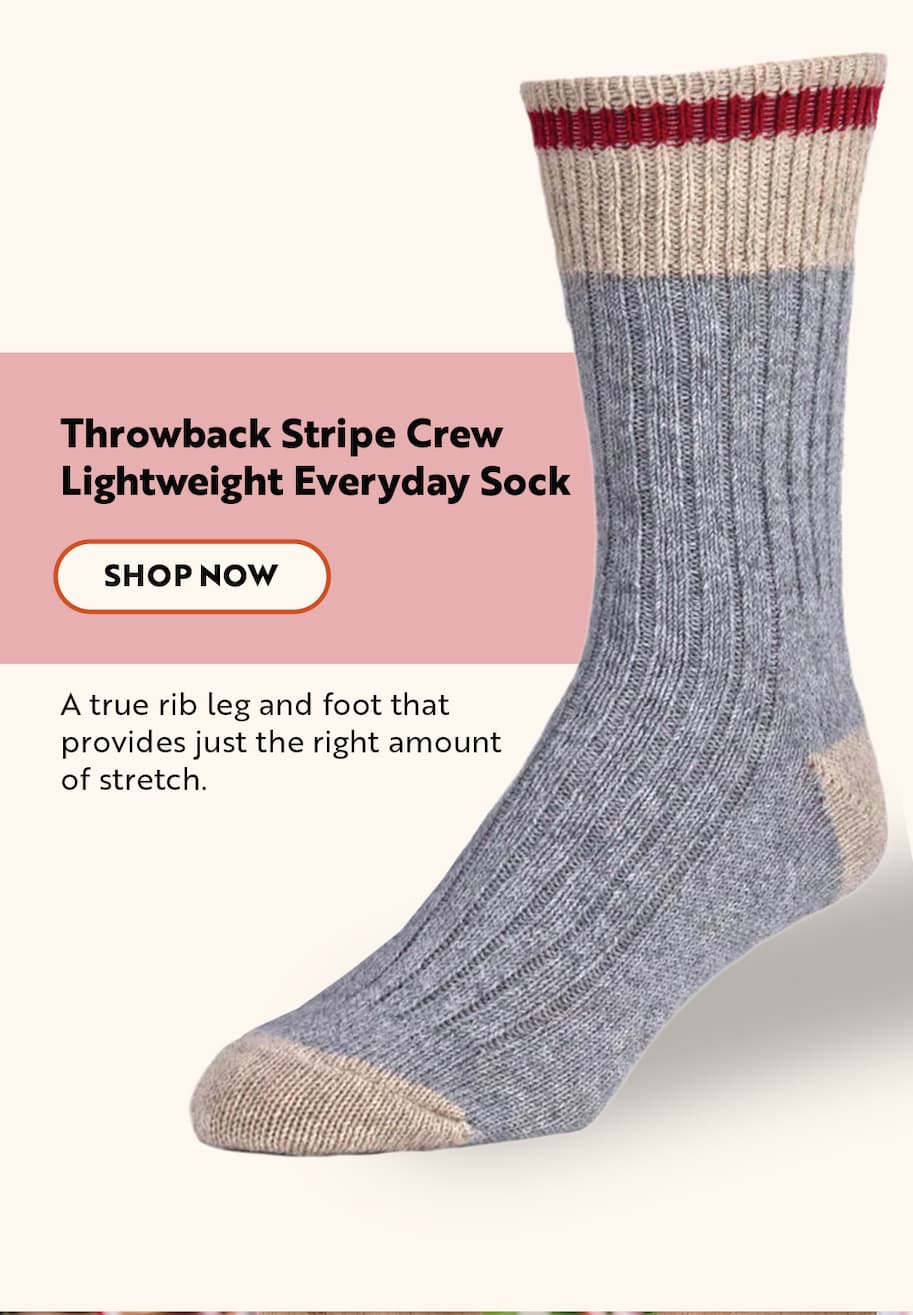 Throwback Stripe Crew Lightweight Everyday Sock