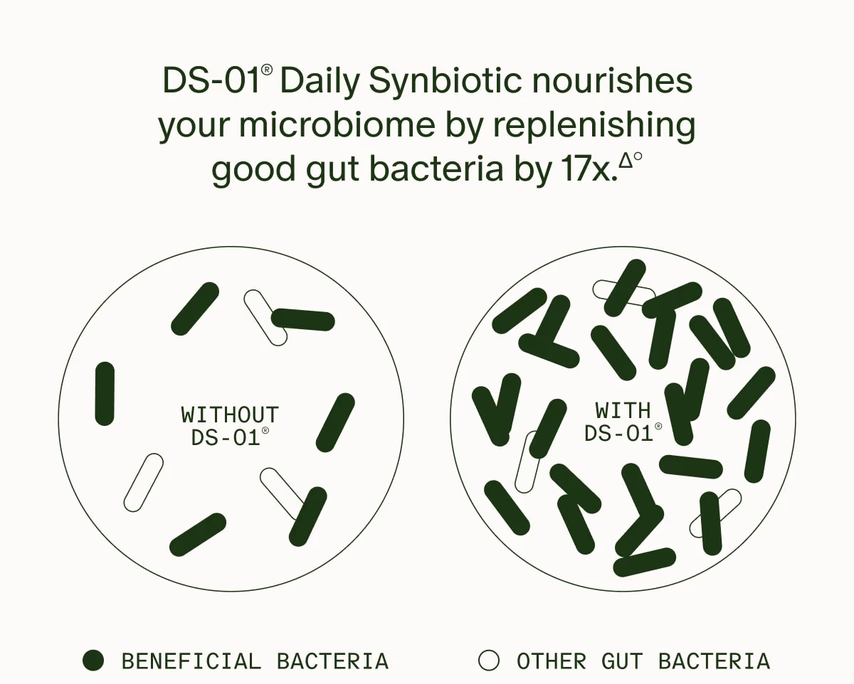 DS-01® Daily Synbiotic nourishes your microbiome by replenishing good gut bacteria by 17x.Δ° | WITHOUT DS-01® (BENEFICIAL BACTERIA) vs. WITH DS-01® (OTHER GUT BACTERIA)