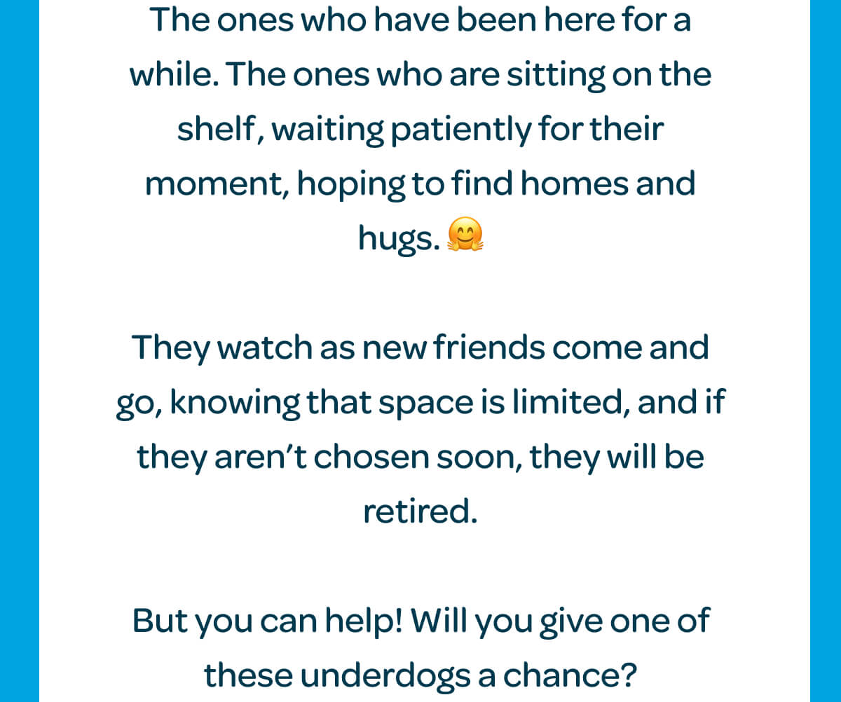 The ones who have been here for a while. The ones who are sitting on the shelf, waiting patiently for their moment, hoping to find homes and hugs. 🤗  They watch as new friends come and go, knowing that space is limited, and if they aren’t chosen soon, they will be retired.  But you can help! Will you give one of these underdogs a chance?