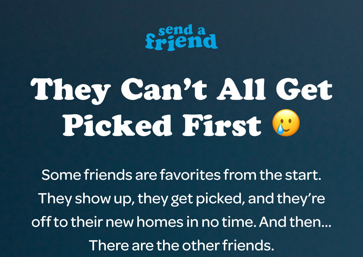 They Can’t All Get Picked First 🥲 Some friends are favorites from the start. They show up, they get picked, and they’re off to their new homes in no time. And then… There are the other friends.
